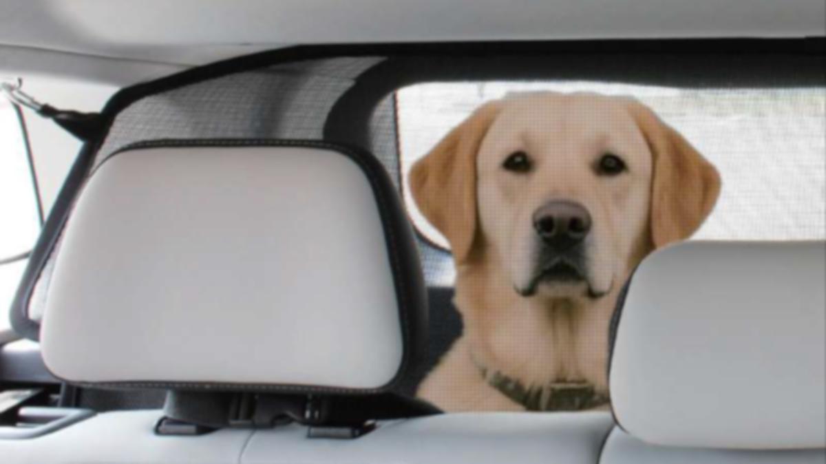 Red separadora para el maletero