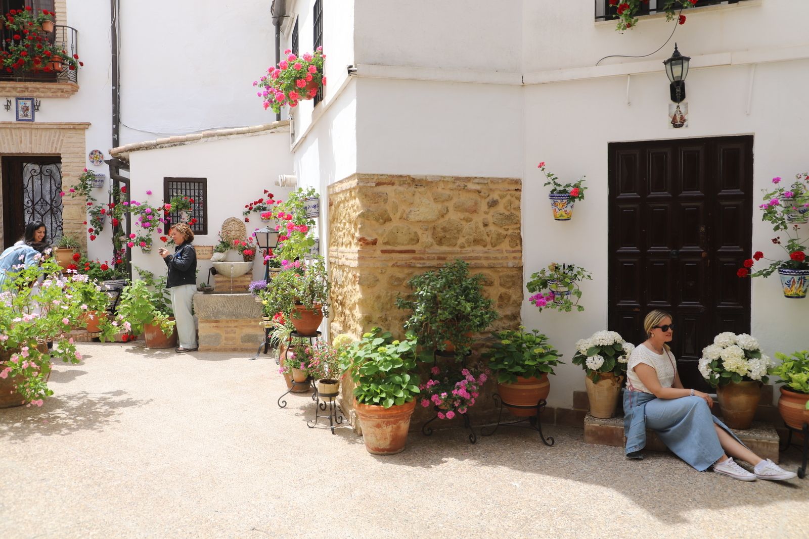 La Ruta 4 de los Patios de Córdoba, en imágenes