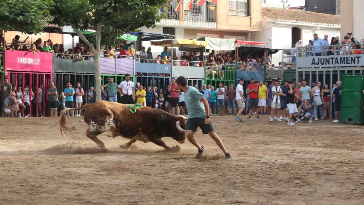 Un ‘rodaor’ sale airoso del envite del toro patrocinado por la peña La Divisa en el último día de exhibiciones en Moró.