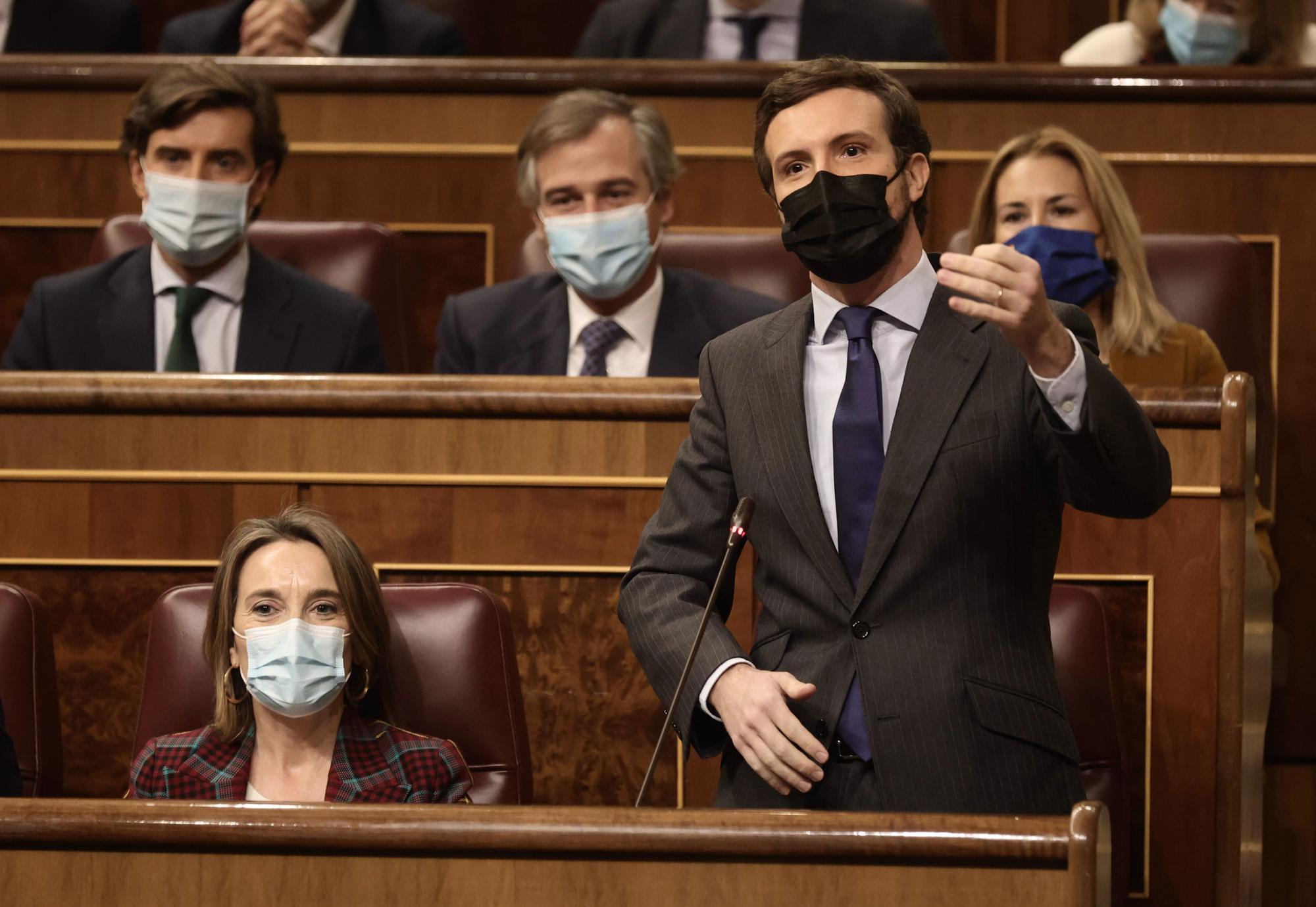 Pablo Casado durante la sesión de control al Gobierno.