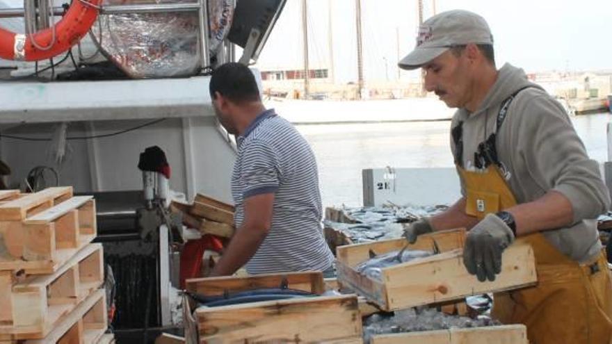 El boquerón se pone por las nubes y llega a 10 euros por kilo en Lonja