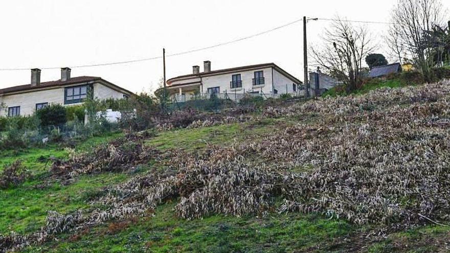 Zona por la que está prevista la construcción del vial 18.