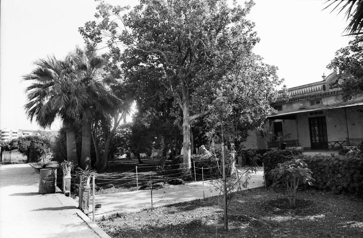 Torrecremada de Dénia en 1992: traza agrícola y gran valor patrimonial