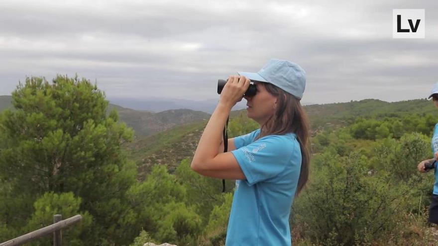 Cómo trabajan los voluntarios ambientales en la C. Valenciana