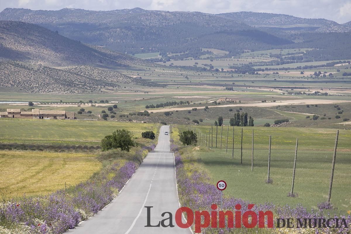 Romería de San Isidro en los Poyos de Celda de Caravaca