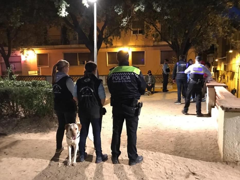 Gossos ensinistrats en un operatiu a Figueres