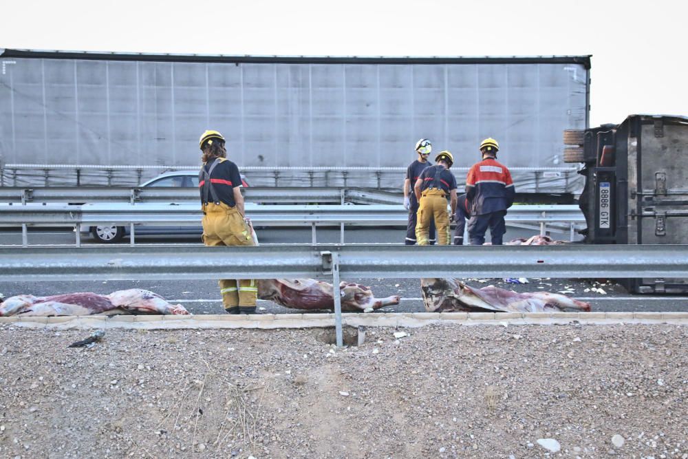 Accidente de camión cargado de carne congelada