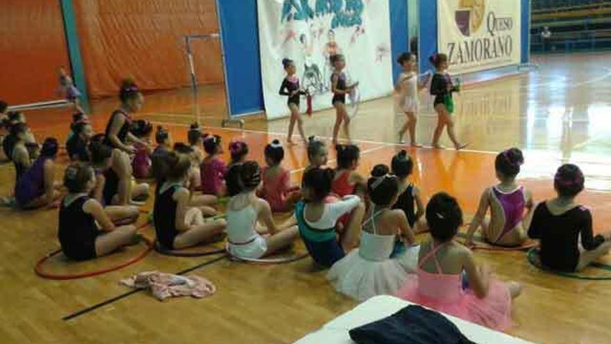 Cerca de cincuenta gimnastas despiden el curso en el pabellón Ángel Nieto