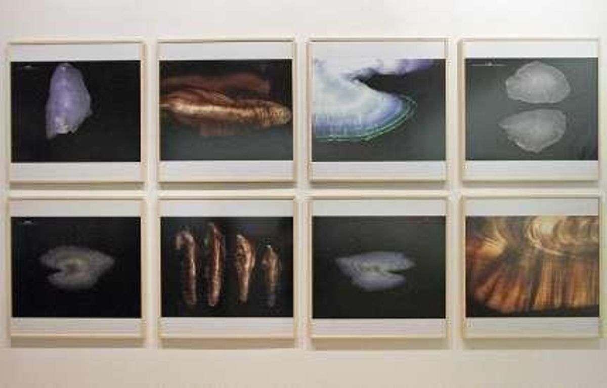 Ciencia y arte tejen campos de trabajo