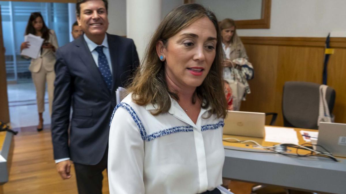 El consejero de Economía, Carlos Fernández Carriedo, junto a la consejera de Movilidad, María González Corral, antes de la rueda de prensa de ayer. | E. Margarto - Ical