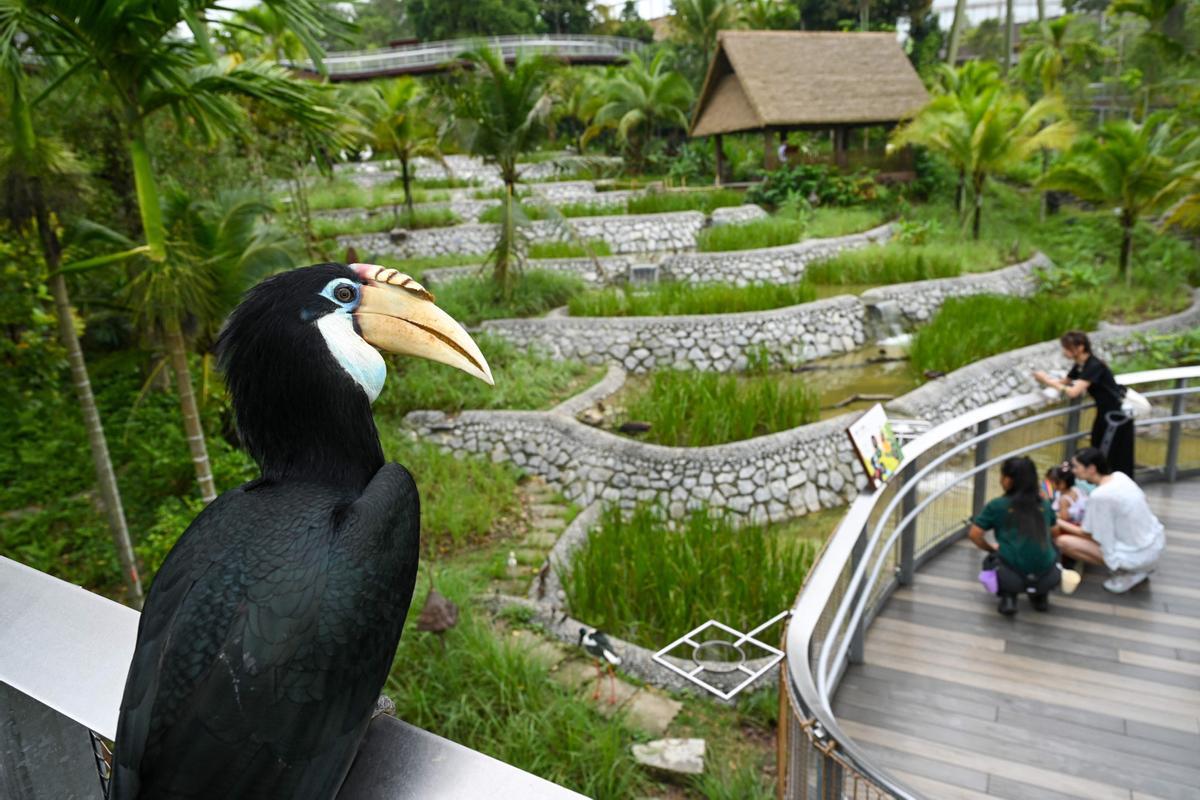 Singapur estrena el parque Paraíso de los pájaros