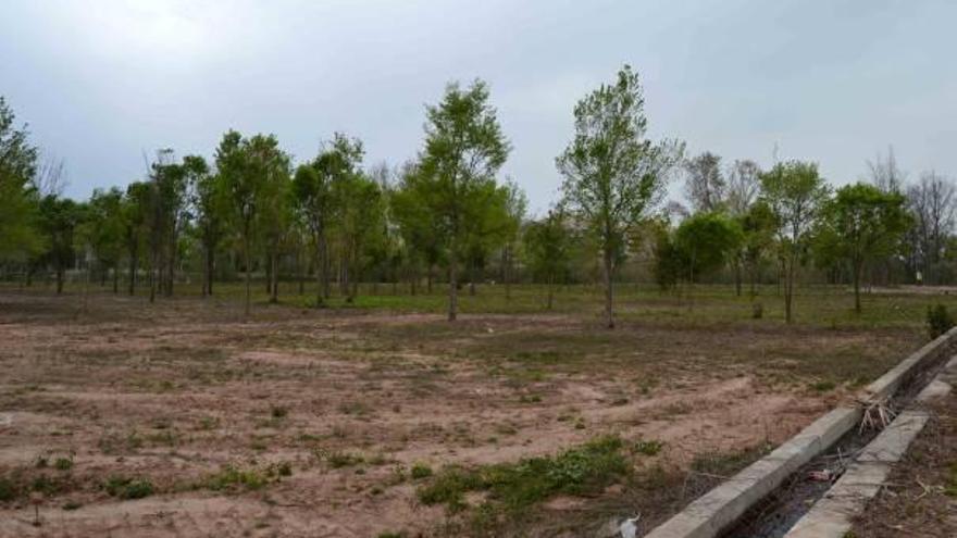 Borriana amplía los límites del bosque del margen del Clot de la Mare de Déu