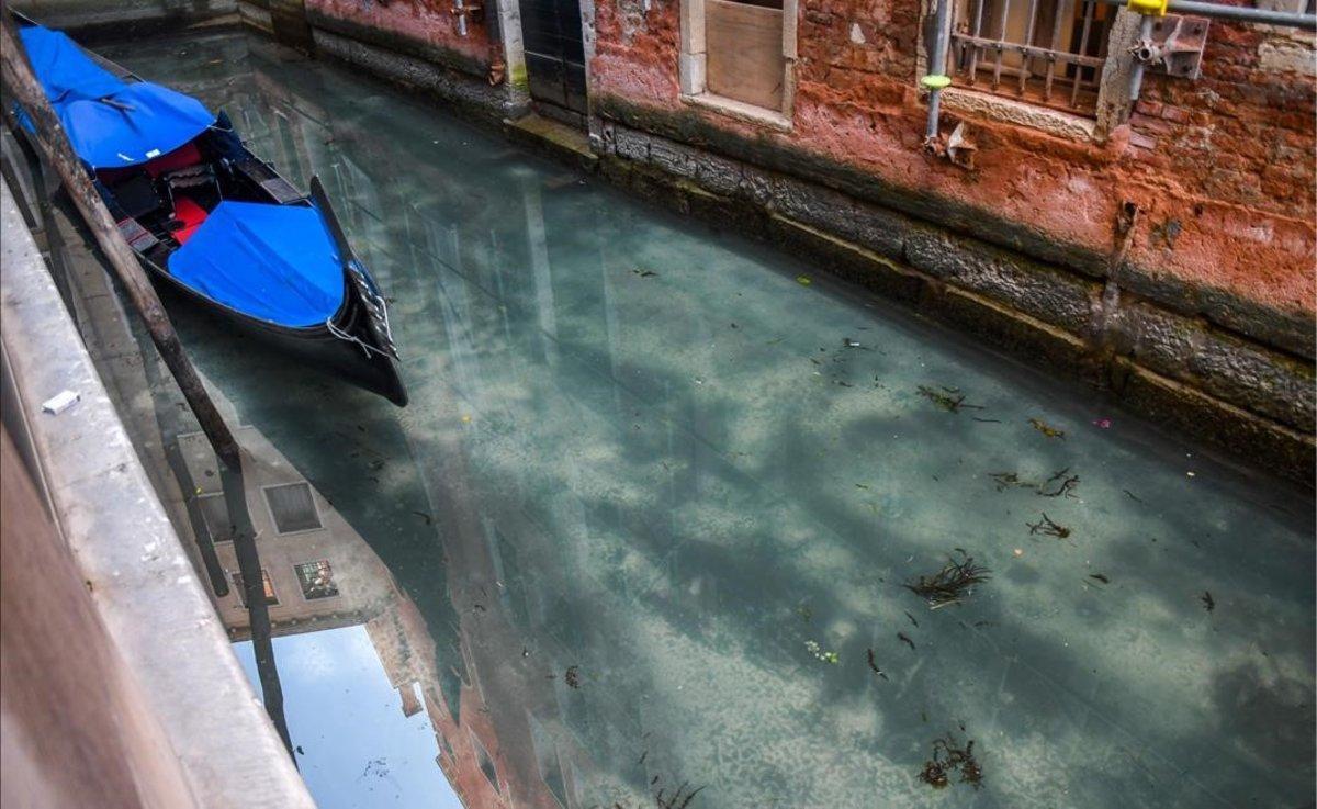 Aguas cristalinas en Venecia, tras disminuir el número de visitantes por el coronavirus.