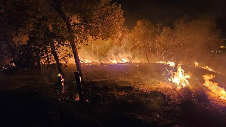 Arden 4.100 m2 de terreno forestal en el paraje ciezano de la Isla