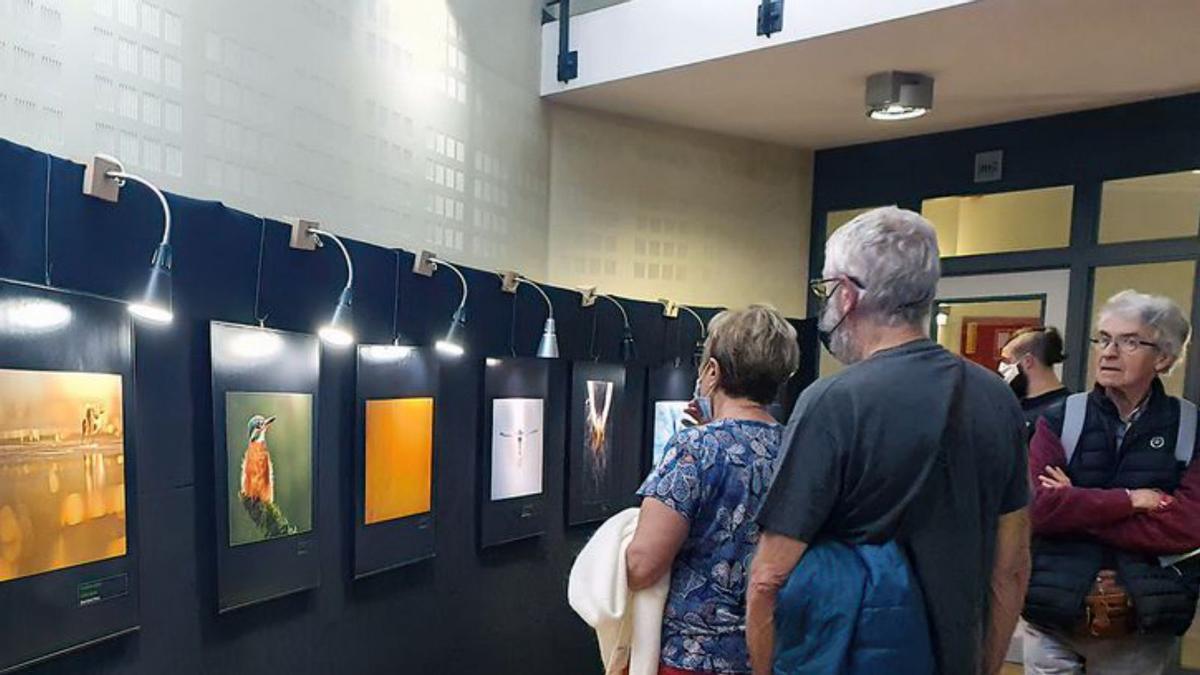 Visitantes en la exposición de Suárez Porras en Bélgica. 