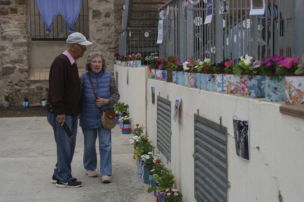 Les imatges de Santpedor en Flor Les imatges de Santpedor en Flor
