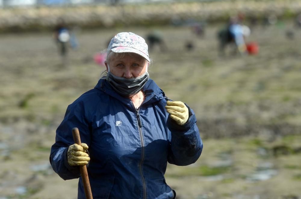 El marisqueo recupera el pulso