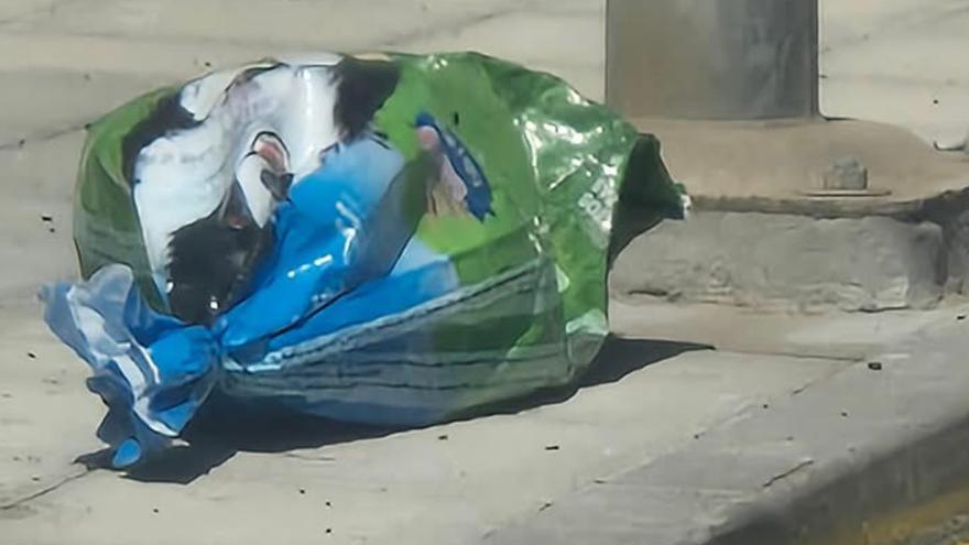 Hallan un saco con un animal muerto frente a una casa en Gran Canaria