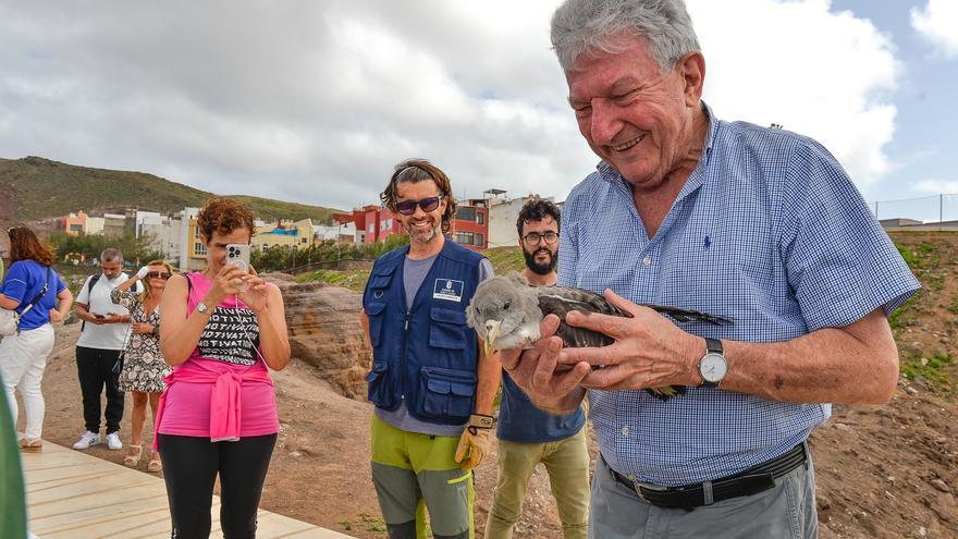 Suelta de pardelas en el mirador de Las Coloradas