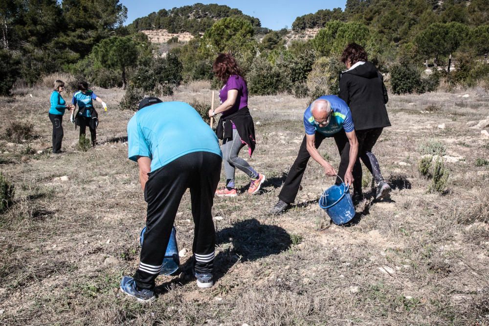 Ibi celebra su tradicional Día del Árbol