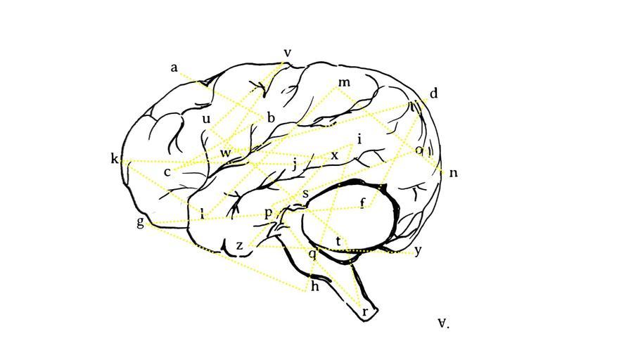 Nuevas tecnologías para entender nuestro cerebro