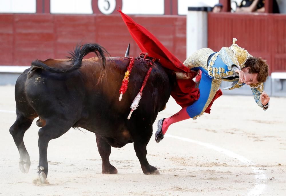 Espeluznante cornada del valenciano Román Collado en la plaza de toros de Las Ventas