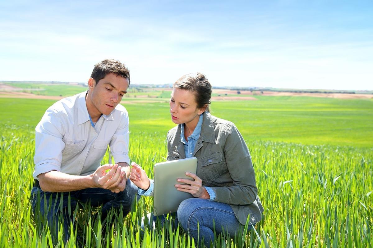 Ingenieros agrónomos