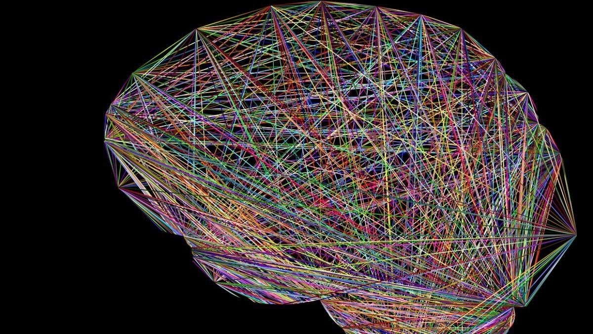 Los neurocientíficos han logrado revelar parte del mecanismo cerebral implicado en la llamada memoria de trabajo.