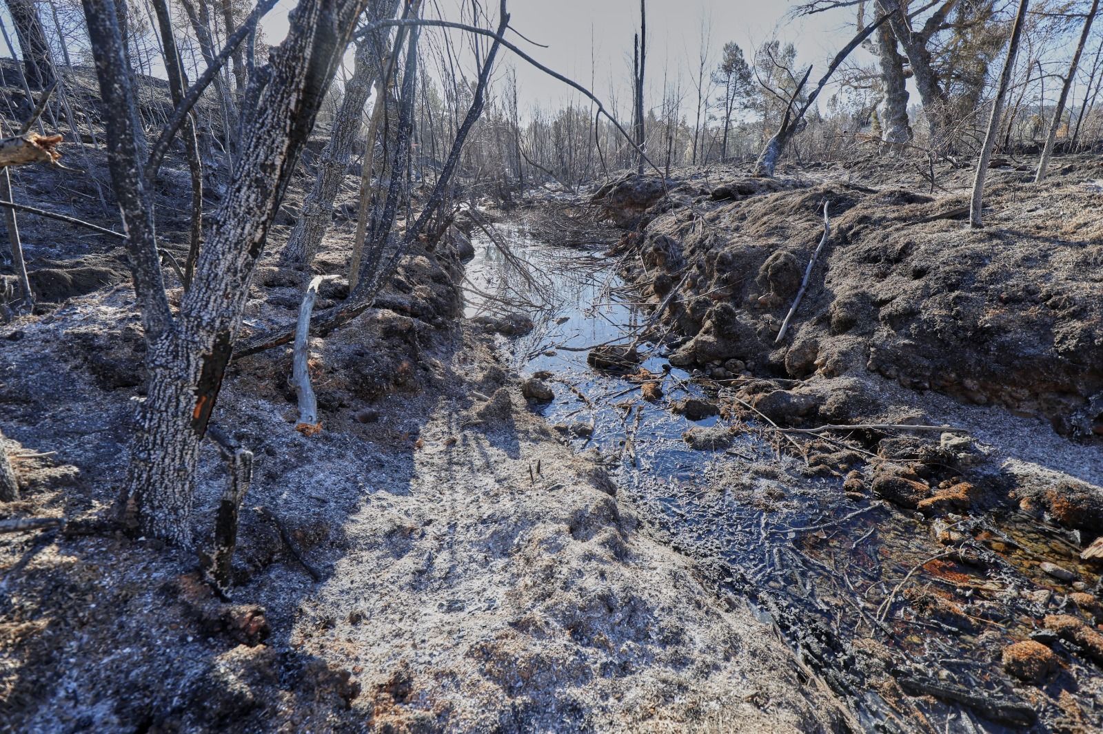 Las imágenes del incendio forestal en el Alto Mijares