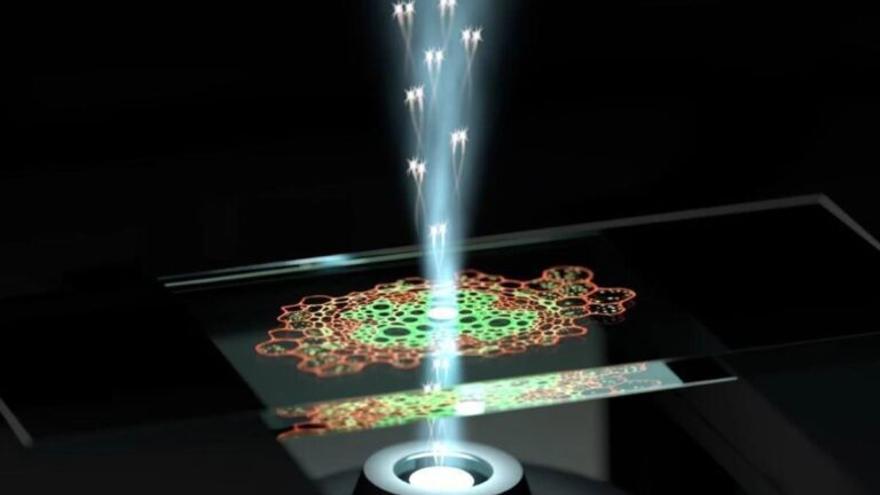 Las tecnologías cuánticas impulsan la microscopía de altas prestaciones