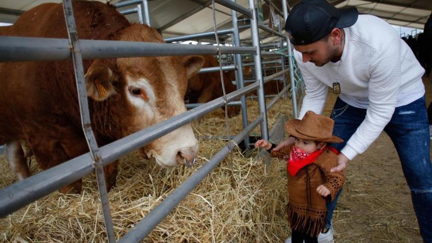 Visitantes de la feria Raíces organizada por la Federación Zamora Rural y la Diputación Provincial en el recinto ferial Ifeza.