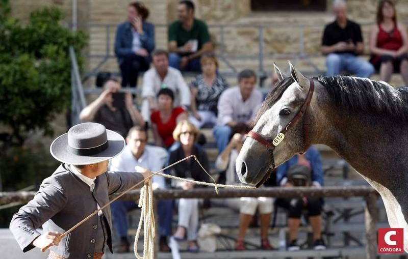 Calbacor 2014 abre sus puertas