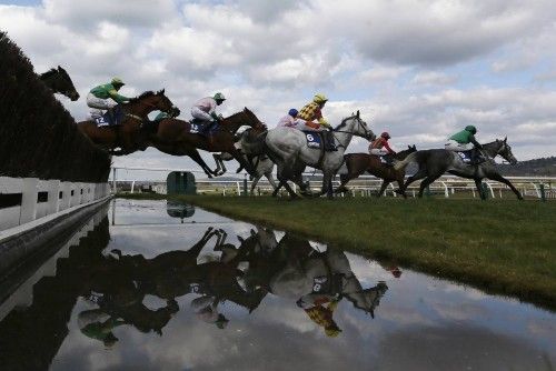 Caballos saltando durante una competición en el festival de carreras de caballos de Cheltenham