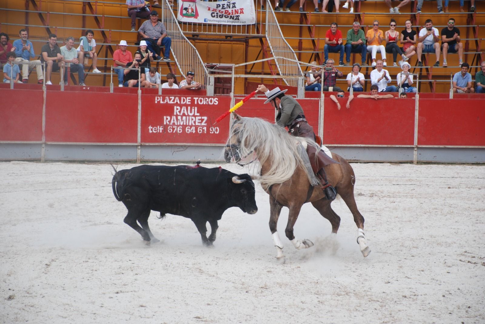 En imágenes: Benia de Onís acoge la primera corrida de toros en Asturias tras el cierre de El Bibio