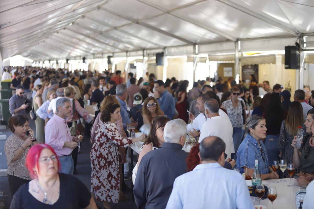 Catas de vino domingo