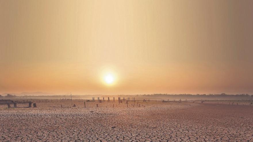 sunset on a died and cracked soil in arid season