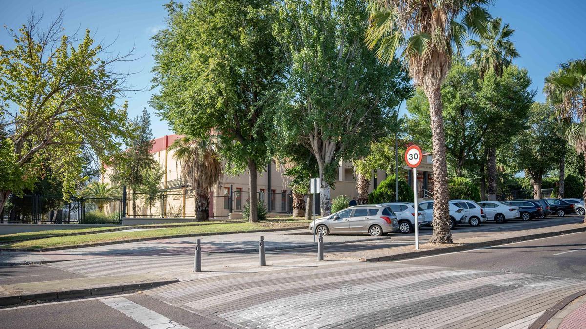 Uno de los pasos de cebra de Mérida en los que el Ayuntamiento reforzará la iluminación para mejorar la seguridad peatonal.