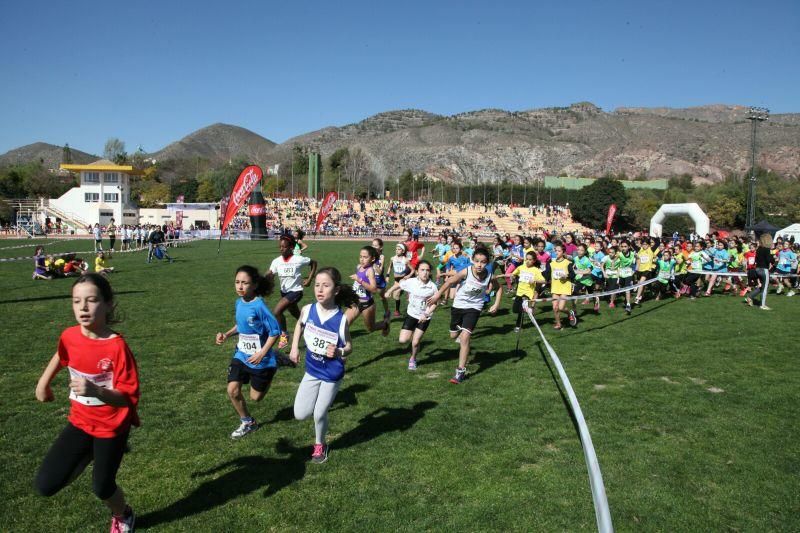 Final Regional de Campo a Través en Edad Escolar