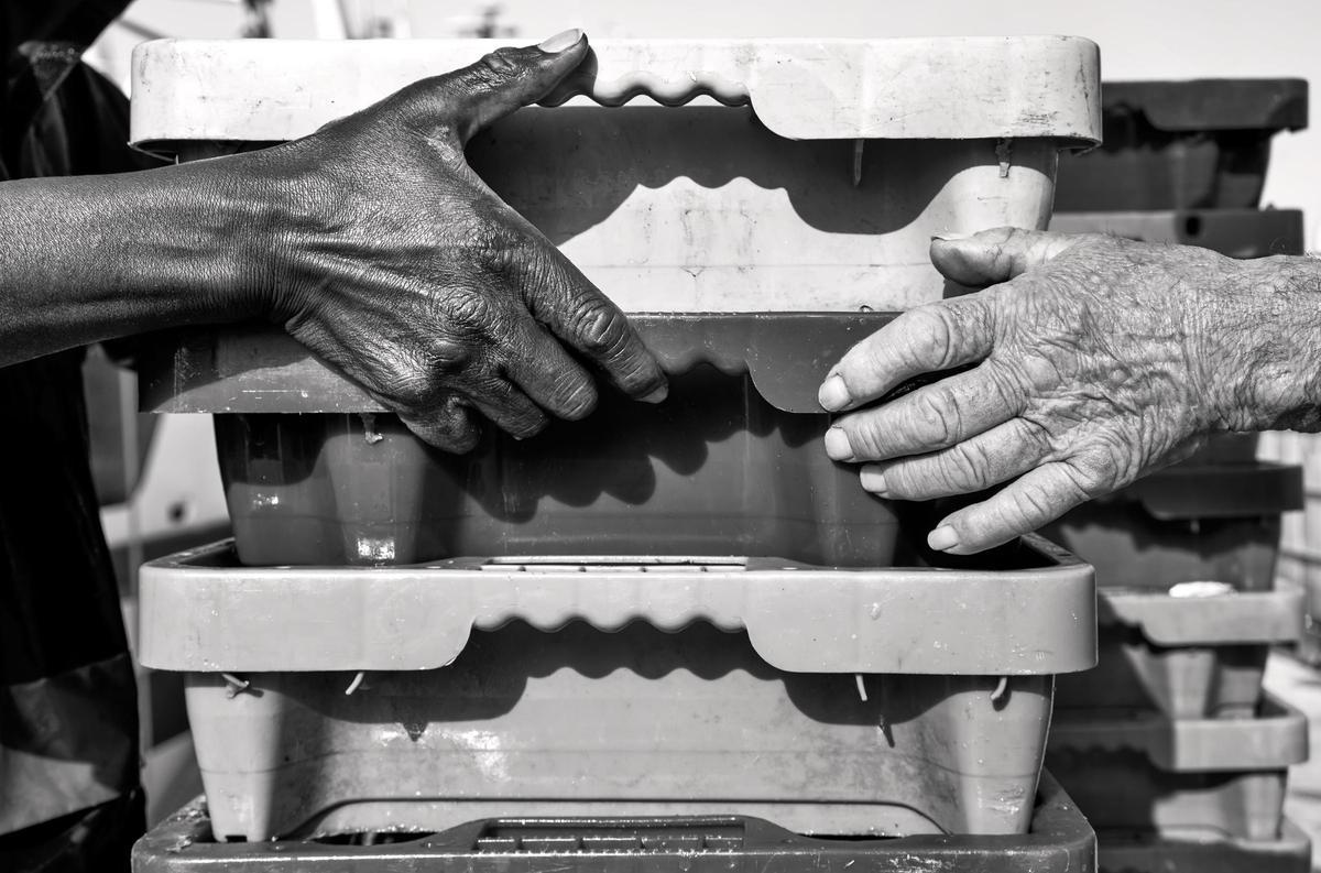 Pesca en Santa Pola.