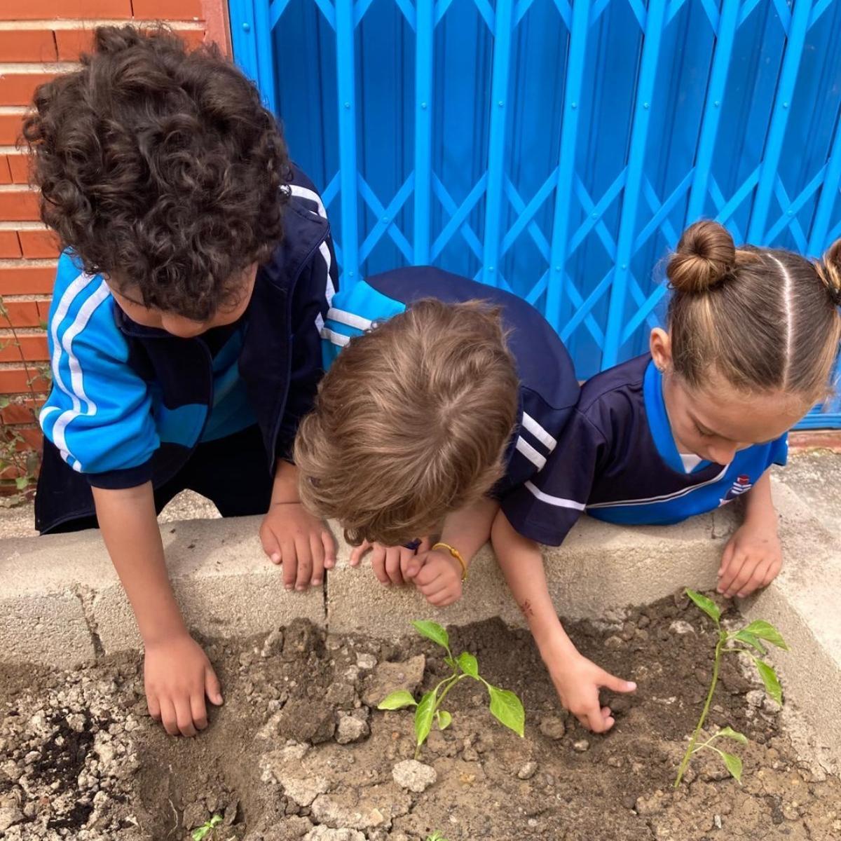 Huerto entre generaciones