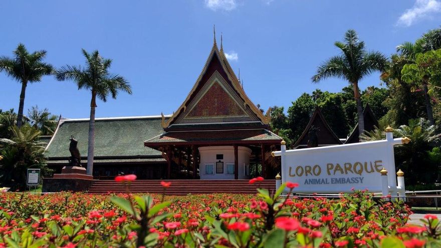 Loro Parque organizes special activities at Easter