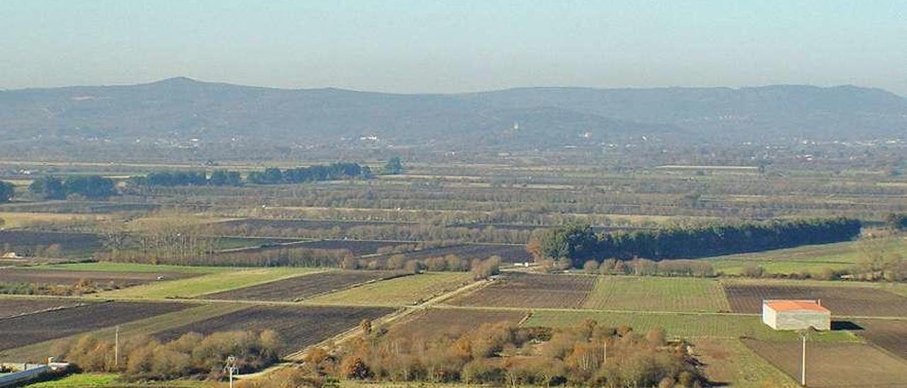 Una zona de regadío en Xinzo de Limia con varias fincas. // I. Osorio