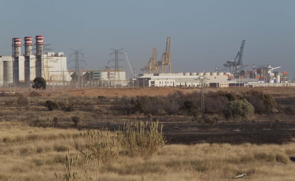 La Marjal dels Moros tras el incendio