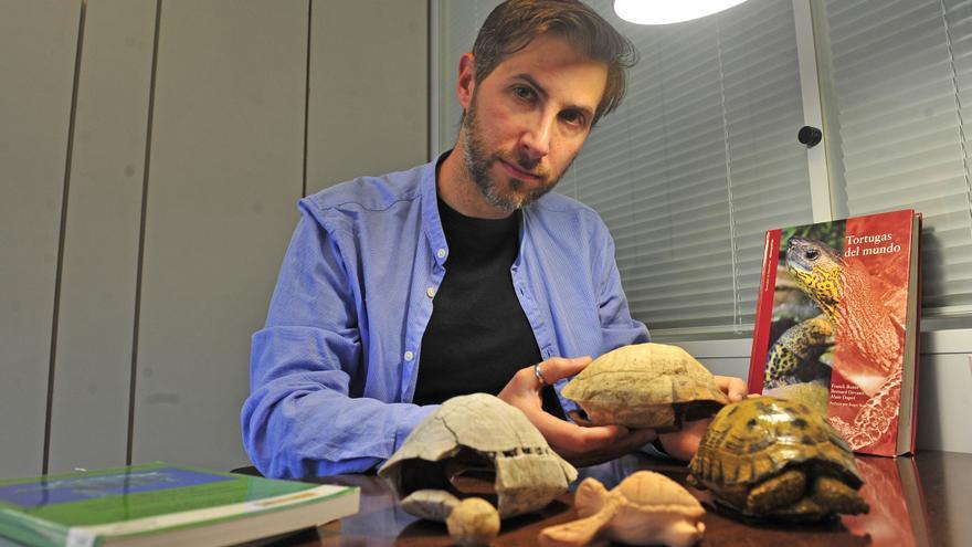 Sobre la extinción de las tortugas: el pionero estudio internacional que lidera un ecólogo de la UA