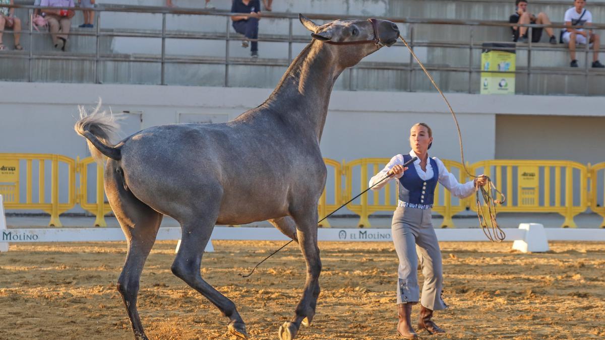 Competiciones, exhibiciones y domas son algunos de los atractivos de Fegado