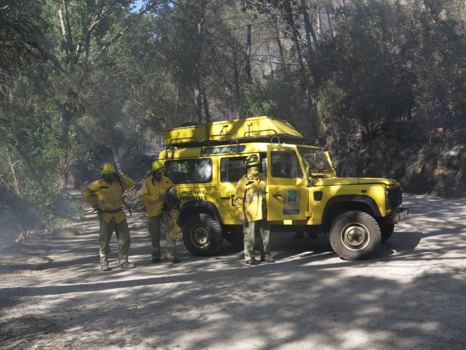 Waldbrand bei Puigpunyent