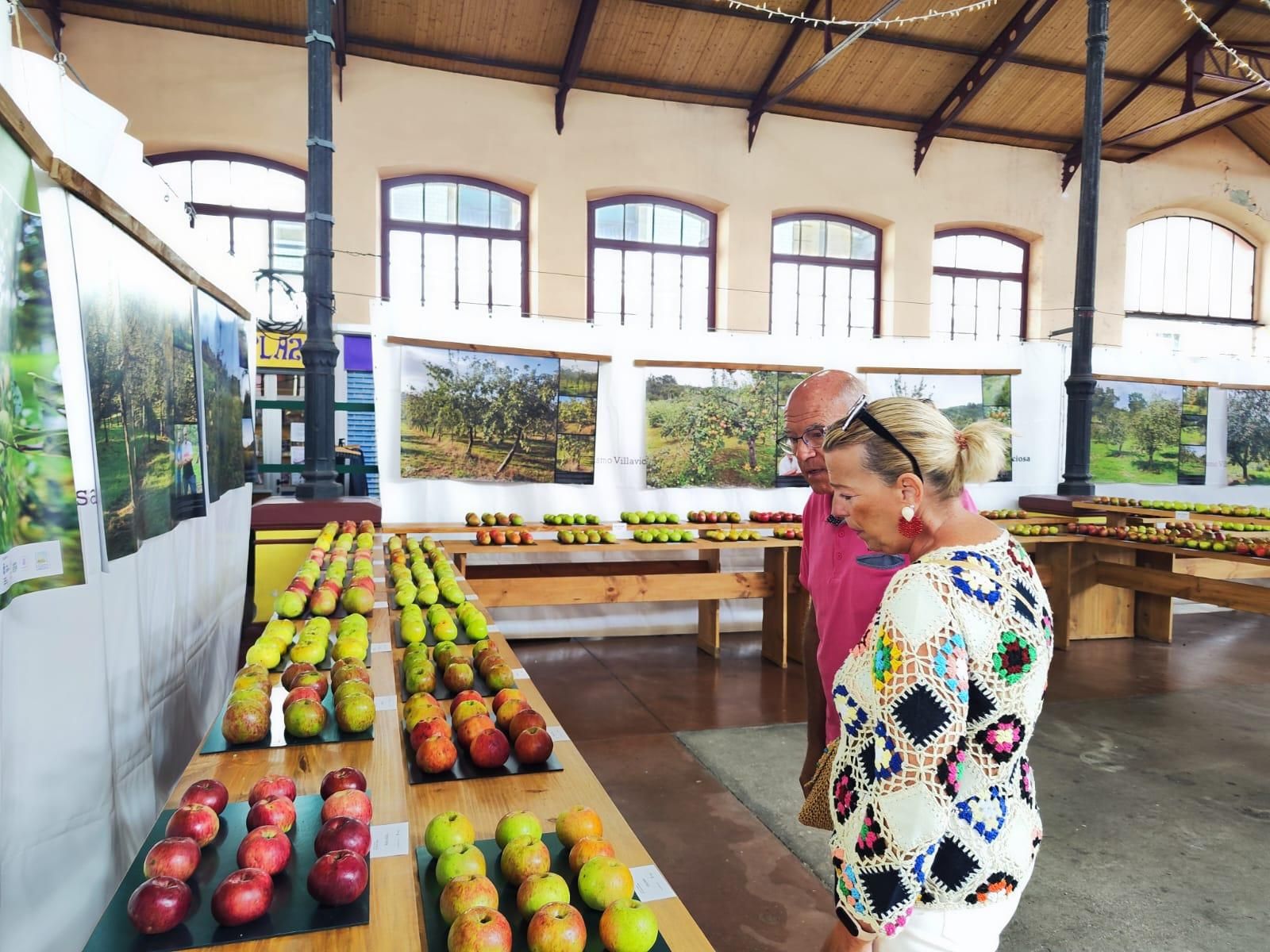 El Festival de la Manzana arranca en Villaviciosa: exposiciones, talleres y actividades infantiles