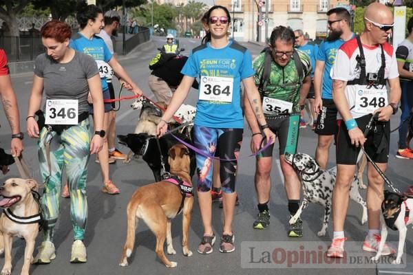 Run for Parkinson Canicross