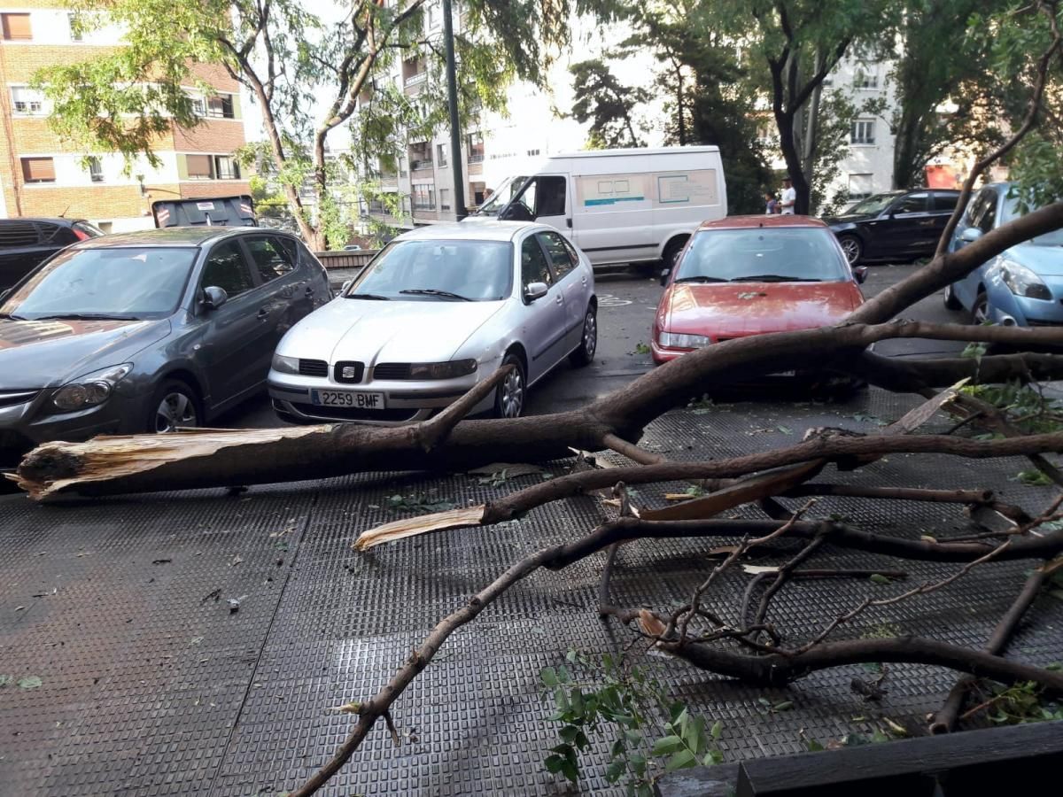 Consecuencias de la tormenta en Zaragoza