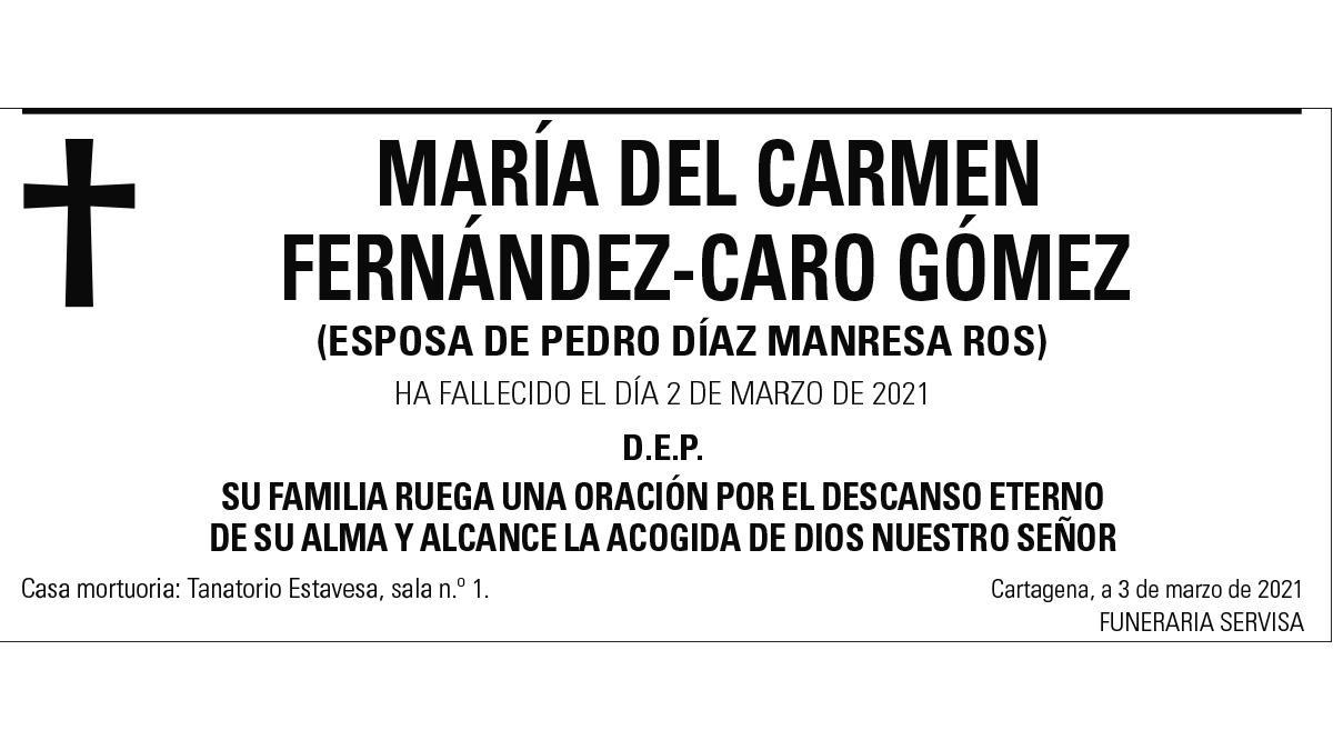 Dª María del Carmen Fernández-Caro Gómez